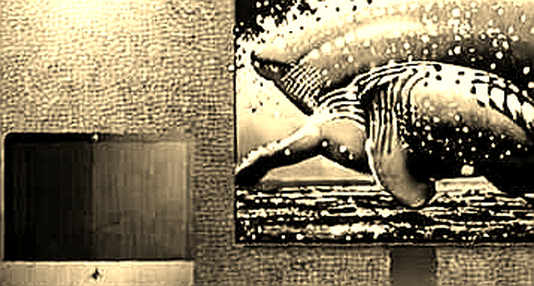 The Threshold of Systemic Stress: Iran’s Strike on US Bases and the Macro-Liquidity Reckoning for Crypto The Threshold of Systemic Stress: Iran’s Strike on US Bases and the Macro-Liquidity Reckoning for Crypto