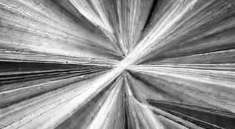 The Windchill Breach: When Engineering Data Becomes Ransomware Collateral