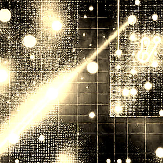 The Hash That Broke the Yen Carry Trade: On-Chain Forensics of the BoJ Signal